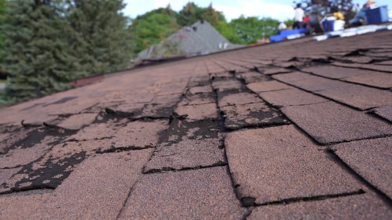 Roof Insulation in Camden, OH