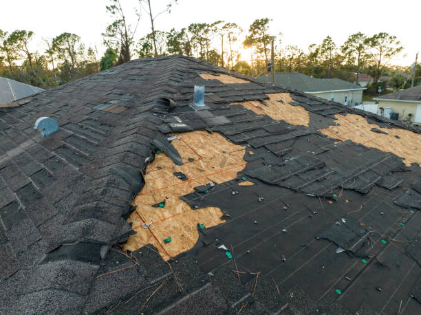 Best Roof Coating and Sealing  in Camden, OH